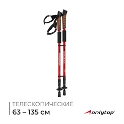 Палки трекинговые, телескопические, 3-х-секционные, до 135 см (пара 2 шт), цвета микс  2579487 2579487 - фото 37636