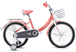 Велосипед 20" Rocket Luna, цвет розовый lqq1D5Ivjuh7KwTsT2-6O1 - фото 37688