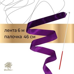 Лента для художественной гимнастики с палочкой Grace Dance, 6 м, цвет фиолетовый 3867782 - фото 37792