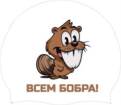 Шапочка VR Bobr XPpMaC2EjN09wjjxiVaG41 - фото 38042