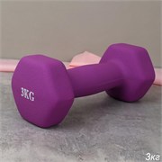 Гантель неопреновая Woohooo Warm Up / WU-3V / 3 кг / фиолетовый 746277