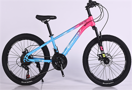 Велосипед подростковый 22HW-312 PIGz6W0mjg--r5sRCGtYw2