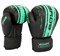 Перчатки боксерские BoyBo Stain BGS322, Флекс, голубой em6lT7PigiAHoRYKtiPtl3