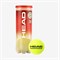 Мяч теннисный HEAD Championship ШТ одобр.ITF, dPD15K9aiZodt3PvEvpXH1