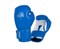 Перчатки боксерские Clinch Fight 3.0 сине-белые uPDf4AVchHVSP9gLspxrn2